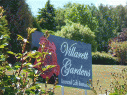 Villarett Gardens Moltema Menu