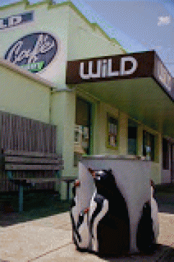 Wild Cafe Restaurant Penguin Menu