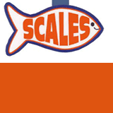 Scale Seafoods Tweed Heads Menu
