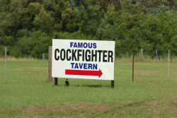Cockfighter Creek Tavern Bulga Menu