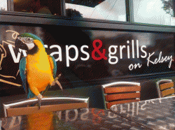 Wraps and Grills on Kelsey Cafe Arncliffe Menu